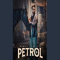 Petrol Bintu Pabra New Haryanvi Dj Song 2026 By Bintu Pabra Poster